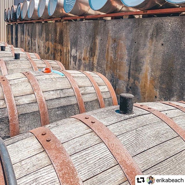 Thank you for visiting <a href="/erikabeach/">Erika</a>! We’re glad you enjoyed the private tasting.
Follow the link on our profile page to find out more about private tastings at Mount Palomar Winery and make your reservation today!

#mountpalomarwinery #temecula #drinkteme… ift.tt/2LGESiq