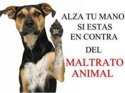 Noticias Meridiano tweet media