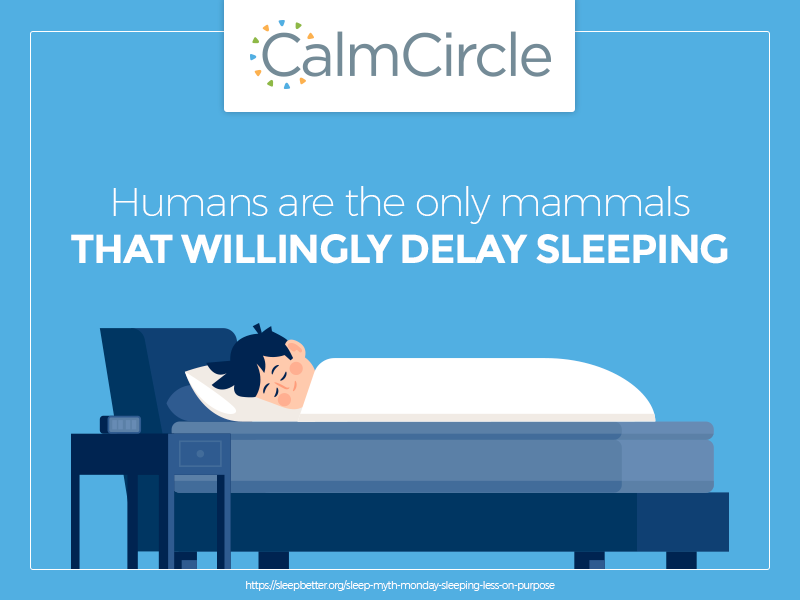 CalmCircle's tweet photo. Don't put off your sleep, getting a full night's rest will help you perform your best. 

https://t.co/hslGKWEhzV https://t.co/JNxA6CTchu