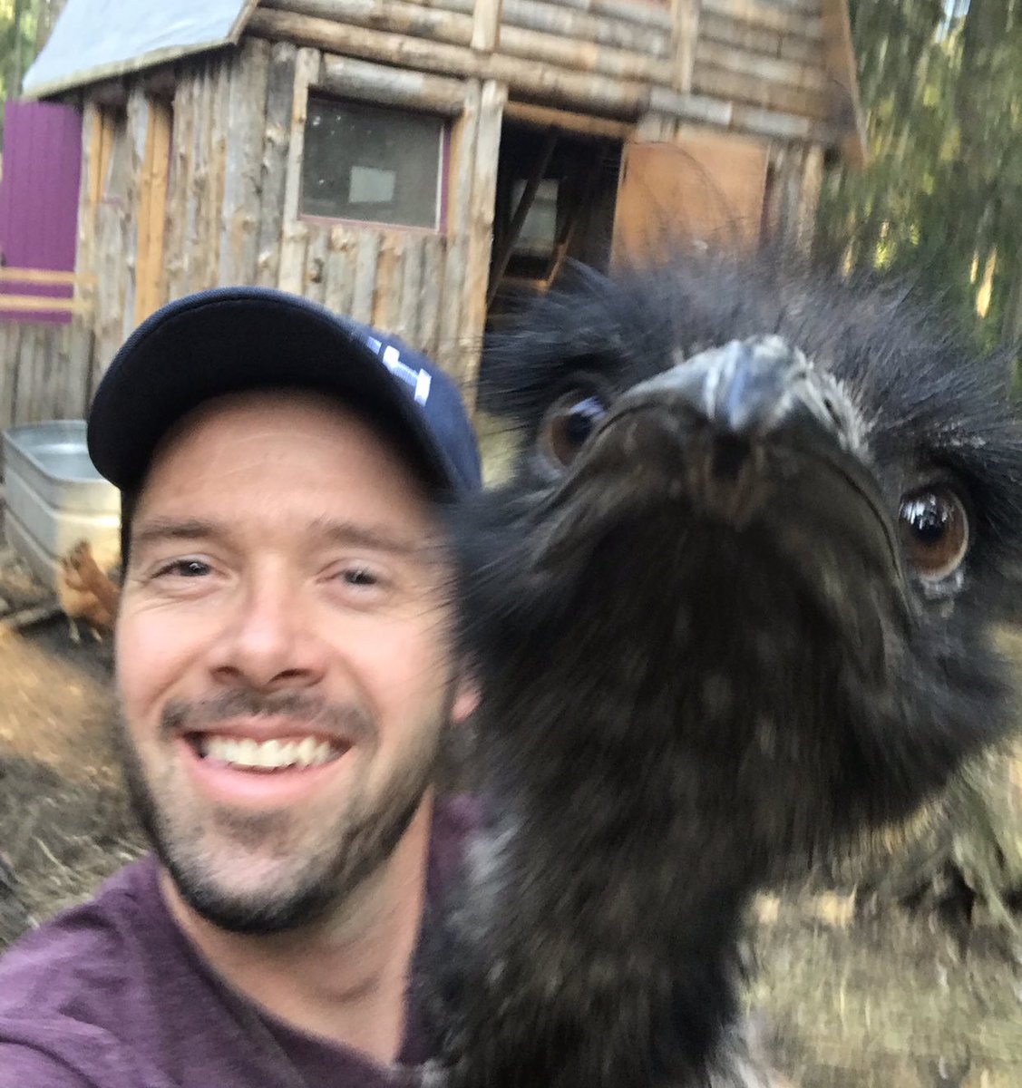 ofkindling's tweet image. Just hangin on the farm with my new #Mathhat! Rallying everyone to watch  #YangontheDailyShow! Been telling Ike the #Emu here, that with $1000/m, he’d totally get a bigger pasture, a new emu hut, even emu friends so he doesnt have to think he’s a goat anymore! He’s so #YangGang