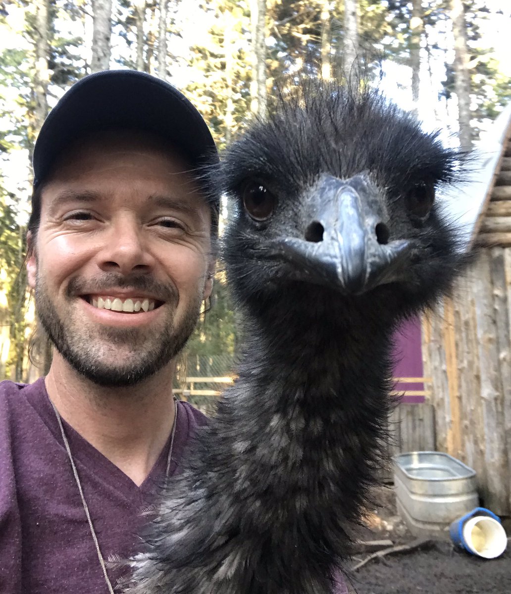 ofkindling's tweet image. Just hangin on the farm with my new #Mathhat! Rallying everyone to watch  #YangontheDailyShow! Been telling Ike the #Emu here, that with $1000/m, he’d totally get a bigger pasture, a new emu hut, even emu friends so he doesnt have to think he’s a goat anymore! He’s so #YangGang