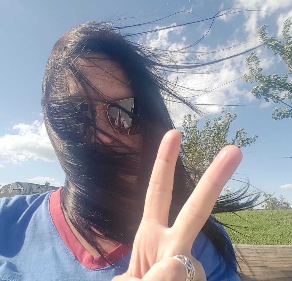 lisawestt's tweet photo. Just out here trying to enjoy the warm summer day #windpocalypse #calgary https://t.co/fck3Y8TnpH