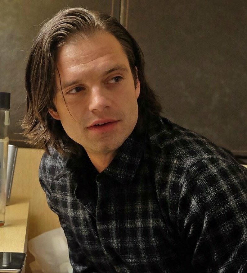 me looking at normal photos of sebastian stan with long hair: bucky.