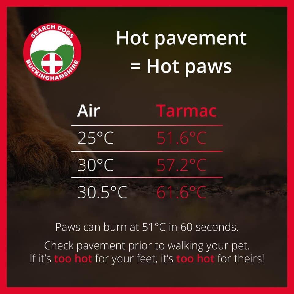 tillycroy's tweet photo. Take Care, Hot Pavements = Hot Paws. We cover environmental problems within our canine first aid courses. #DogFirstAid #Aberdeen #Banchory #AwardWinningTrainers #Tillycroy @ITCfirstAid https://t.co/SHobk321v9