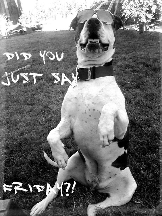 And just like that, its Friday again! Have a safe weekend everyone 😎