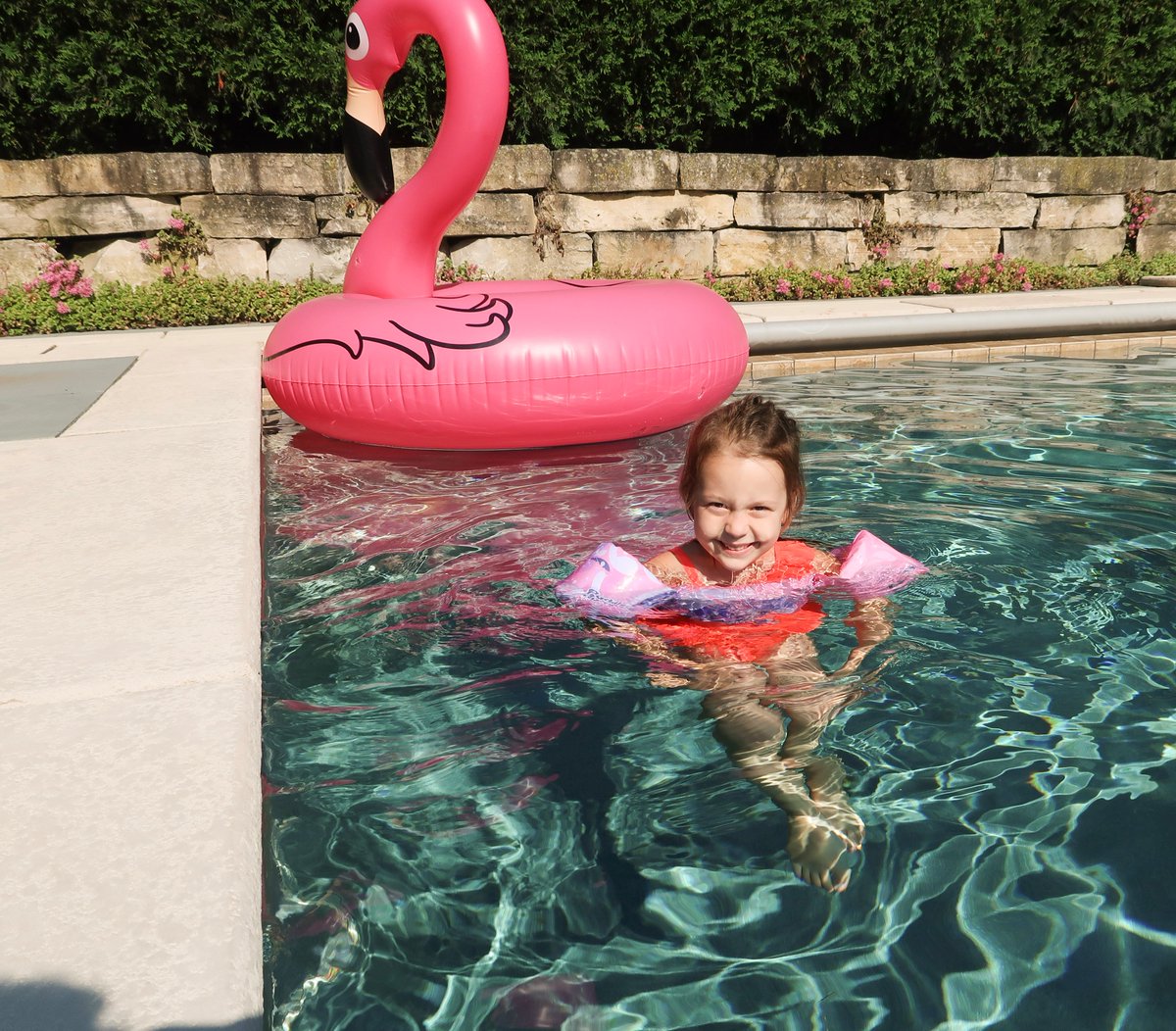 mykindofsweet's tweet photo. Spending as much time as possible in the pool these days! π€°#ad Sharing pool safety tips for toddlers in today's post on the blog... @Walmart #GetIntoTheWaterFaster
https://t.co/WjtgO2Ul4V https://t.co/MxSxfEZLuo