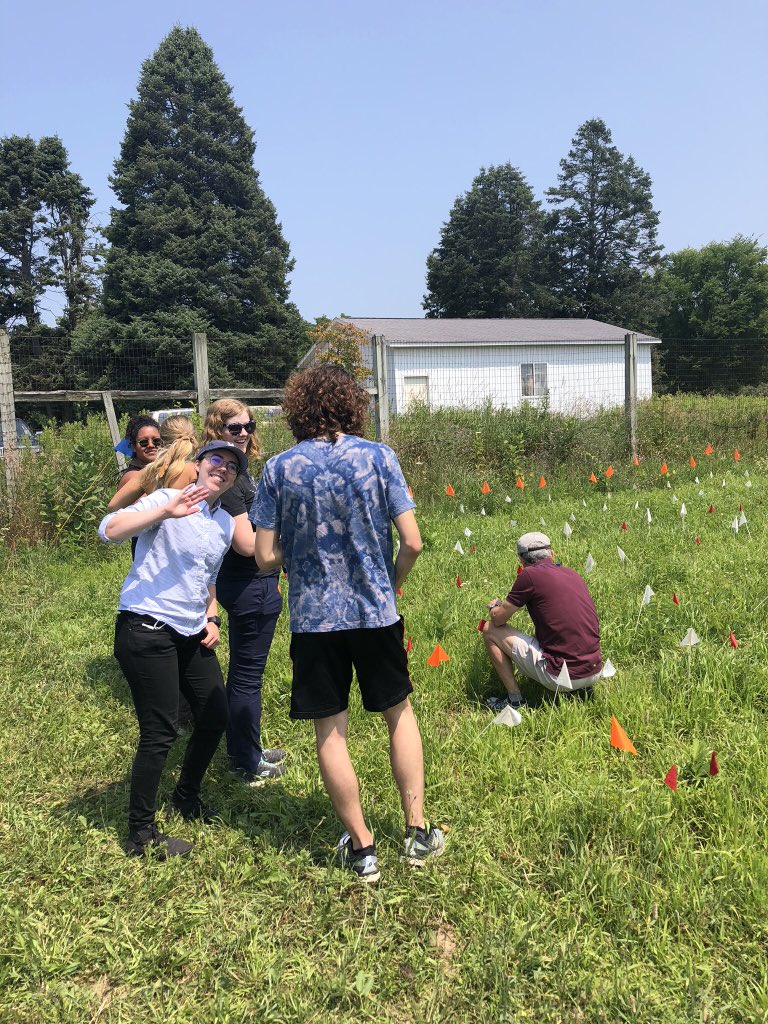 _AshleyRosinski's tweet photo. Lab bonding time!! Checking out the radish field experiment #RETevolution #summerlearning https://t.co/hwOXReEiNC