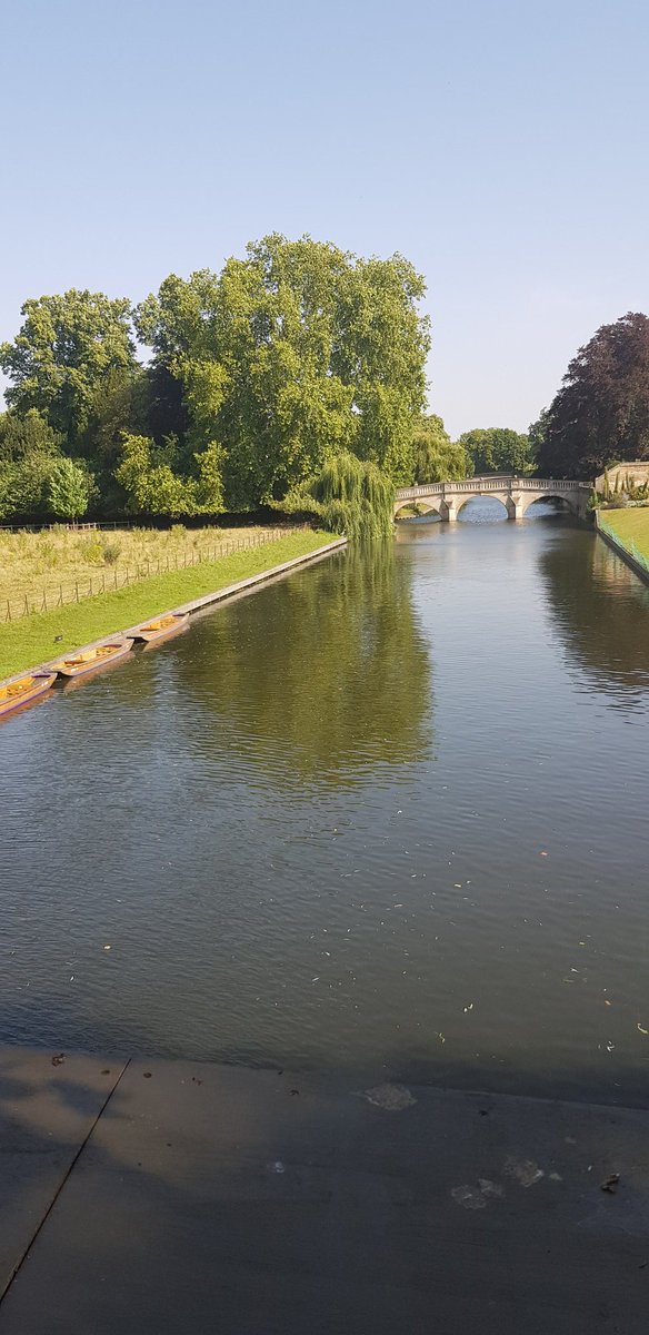 Jennoi's tweet photo. Beautiful record breaker #38.1🌡 #Cambridge 🌞🌞🌞 https://t.co/VAhMdm8PBJ