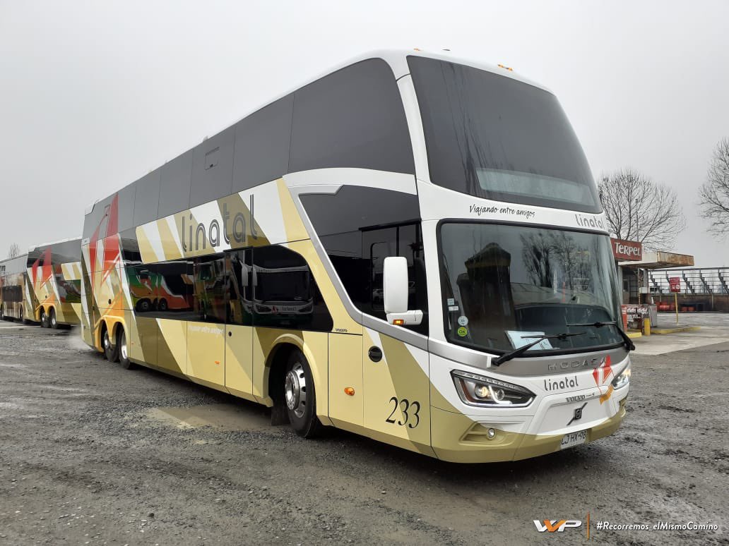 vivipracl's tweet photo. Felicitamos a la empresa Linatal Ltda. por sus 2 nuevas adquisiciones entregadas el pasado Martes, estos espectaculares Modasa Zeus 4 Chasis Volvo B450R.
#Vivipra #Modasa #Zeus4 #Linatal https://t.co/lpYX7jxh69