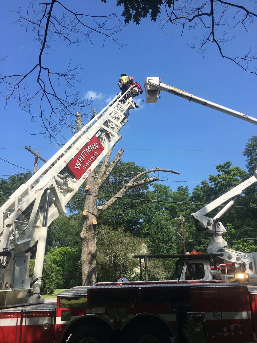 Whitman Firefighters assisting a tree crew to safety after their boom malfunctioned in the area of Commercial St and Fullerton Ave.