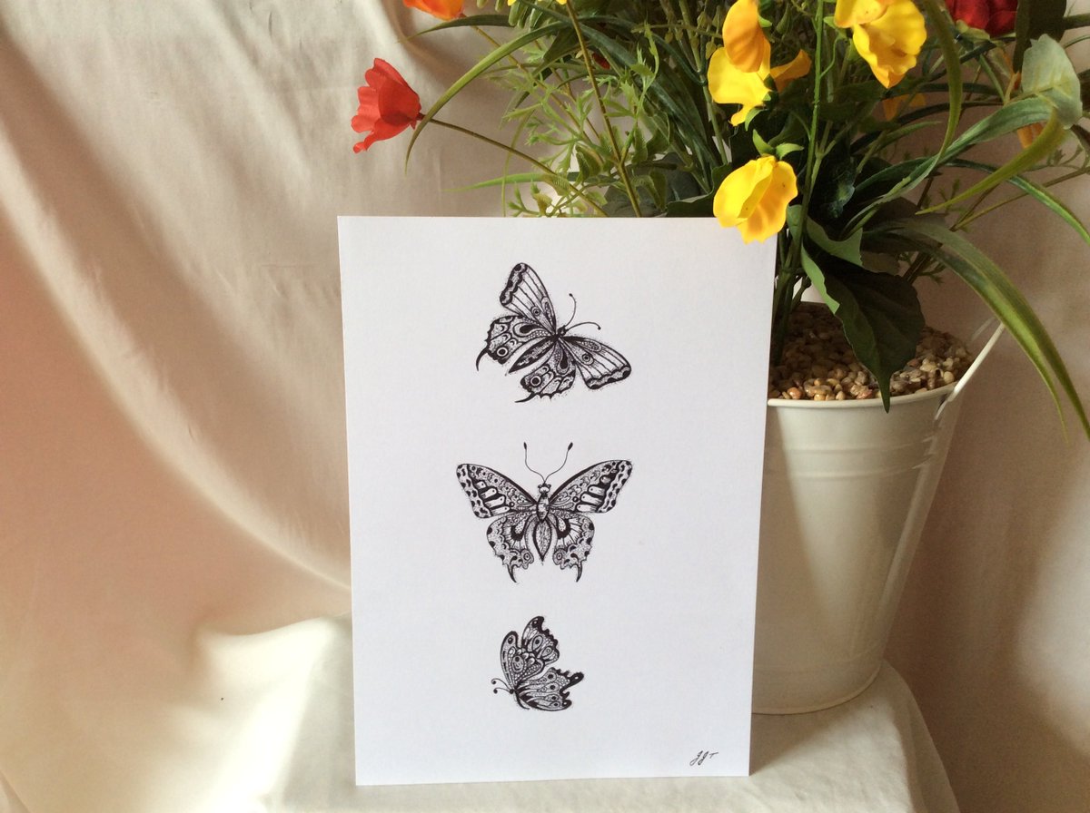JulieTrusler's tweet photo. Excited to share the latest addition to my #etsy shop: Original Butterfly Black ink drawing https://t.co/yFyatZBjt3 #art #drawing #black #unframed #bedroom #animal #vertical #dalbertdesign https://t.co/xkm4Or4ixz