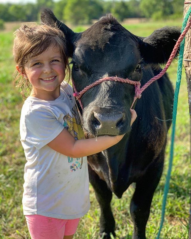 Anyone else getting ready for the fair? 🎪🎟
. 
#Repost @wittkop_family_farm
・・・
Almost show time for these two first timers!

#wittkopfamilyfarm #farmlife #stockshowkid #myksfarmlife #commongroundks #fair #carnival #agproud #fairtime #fairtimefun ift.tt/2LFSz1d