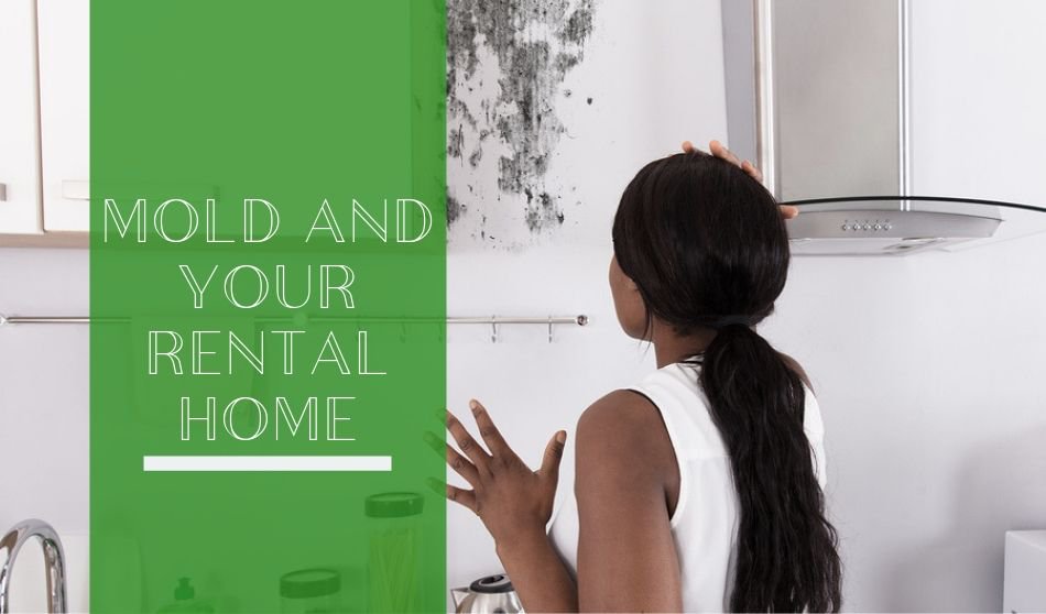 LegacyRG's tweet image. Even if your state does not have any mold specific laws, monitoring your rental home’s moisture level and managing any mold issues immediately will prevent property damage, keep your tenants healthy, and help you avoid any tenant disputes on the topic - bit.ly/2lch3Dj