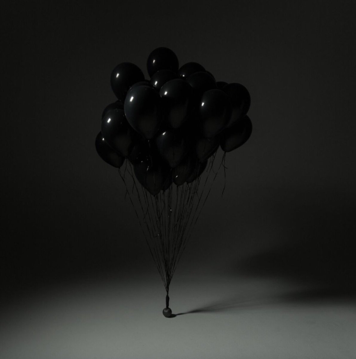 nf the search album nf the search album