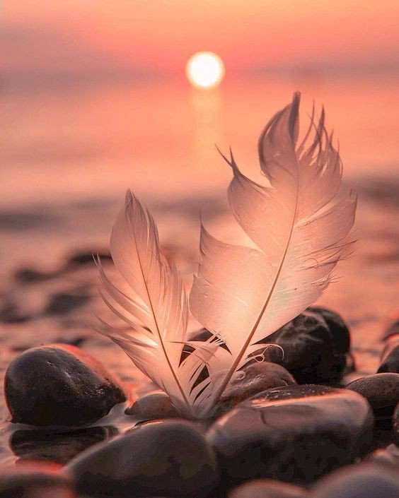 TLo02's tweet photo. Hope is but the dream of those who wake.

#MatthewPrior 
#inspirational #hope #dream https://t.co/xLGvZDlK7N