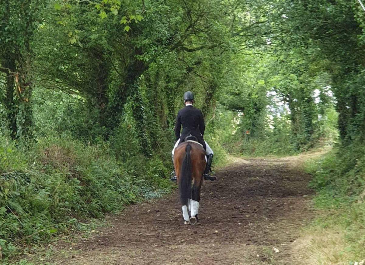 Tom Rowland tweet media