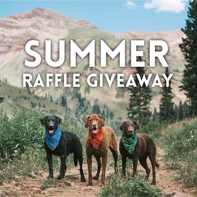 It’s hard not to be distracted on holiday, but we have been working on some new releases, and we have extended our 15% off sitewide through August 15, so now it is time to officially announce our 🎉SUMMER RAFFLE GIVEAWAY!!!🎉 We have a simple drawing f… ift.tt/2K3JJr0