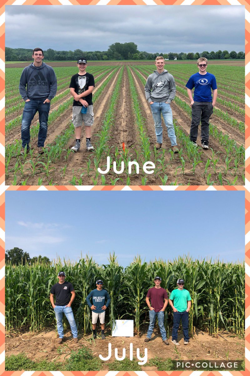 SpringportFFA's tweet image. #MIFFACMC19