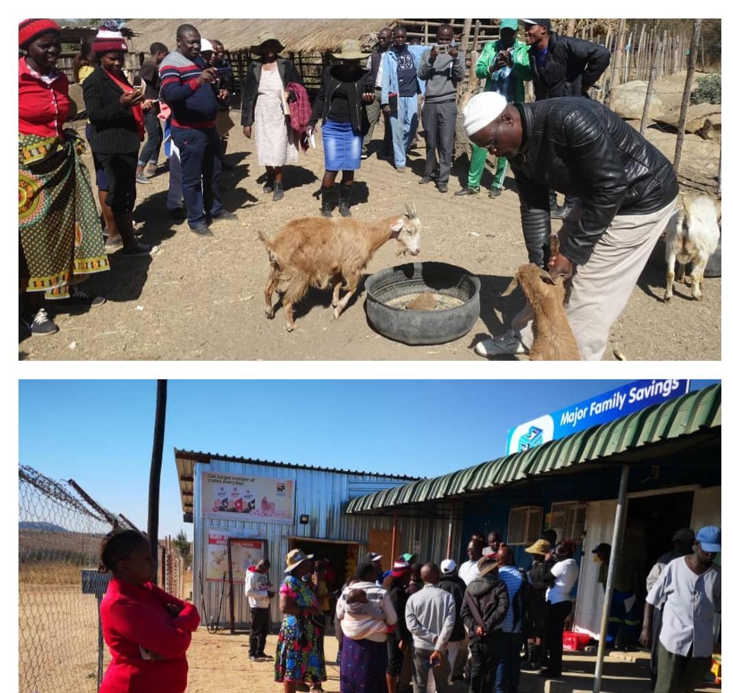 LFSPZim's tweet photo. #exchange visit @WHHZimbabwe #EXTRA to @PracticalAction #INSPIRE farmer grps coming to learn #improvedGoatBreeds, #containerModel + off farm bznses 2 strngthn similar enterprises 4 commercial viability #localEconomicDvpmt @PalladiumImpact @faosfsafrica @UKinZimbabwe ⤴️💰💰 4 👨👨👧👦 https://t.co/dOVZbvL2zt