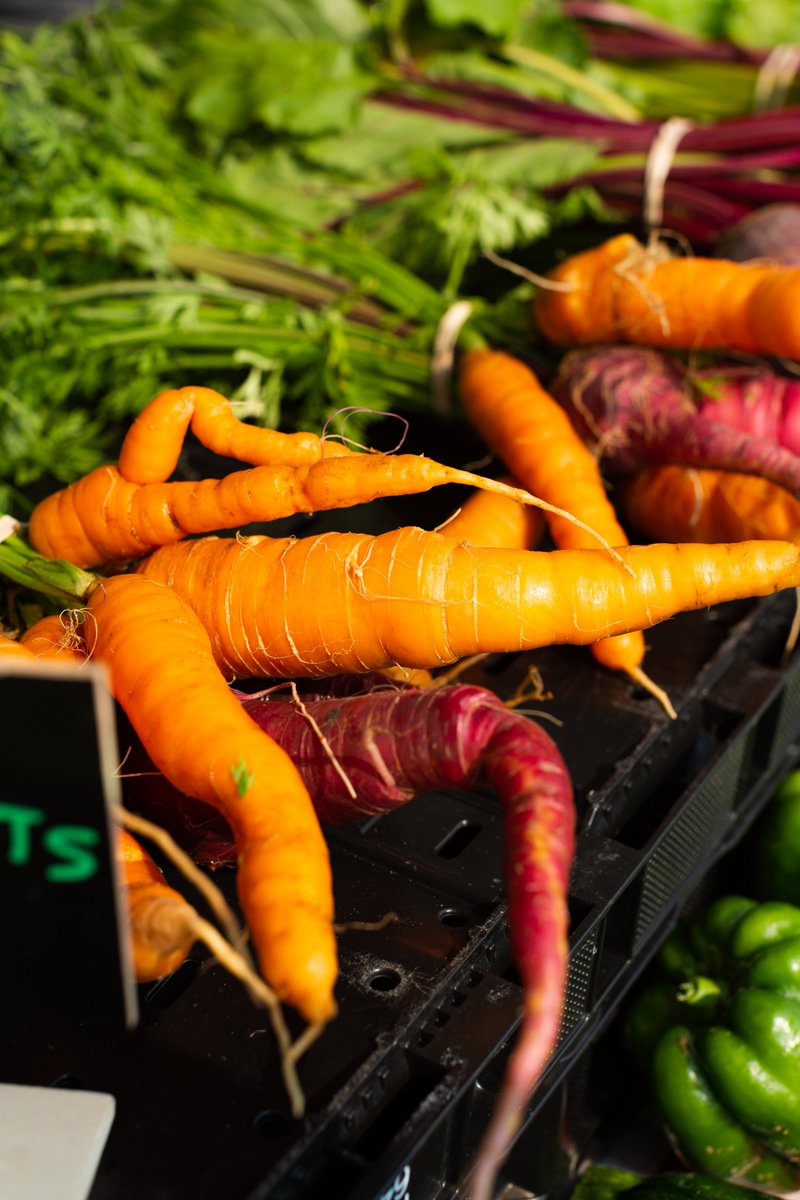 oaklandu's tweet photo. It was a beautiful day for the Student Organic Farmstand! Make sure to check it out every Thursday 10am - 2pm near the east entrance of the OC for fresh produce. #ThisIsOU #SummerAtOU https://t.co/SesAFO3fsW https://t.co/2WgRaIzLdF