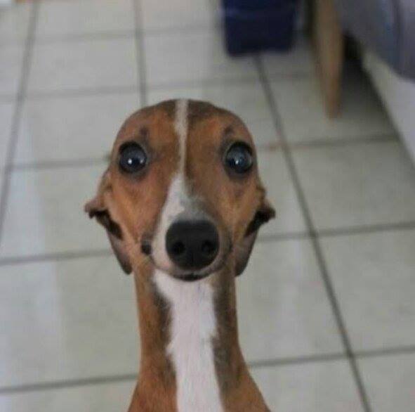 KebsGC's tweet photo. Nobody:

Kudzi:
#DateMyFamilybw
#DMFBotswana
#DMFBW https://t.co/2yvvBWUeaT