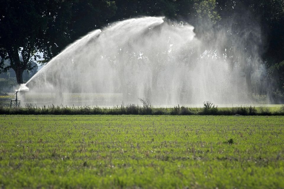 PACTEfr's tweet photo. L'élevage cause un surcoût désastreux en eau, notamment par l'arrosage des cultures pour l'alimentation des "animaux de boucherie", surtout par canicule. De plus, la viande génère énormément de gaz à effet de serre, c'est une folie pour la planète ! : 
https://t.co/lIbsSbeLGV https://t.co/qZwx7HyWT8