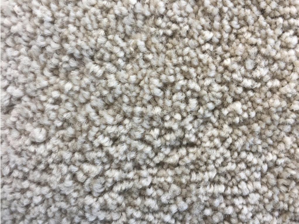 Which carpet style is best for your home?
Make an informed decision. 🙌#TheOriginalAmoreCarpet #flooring #thankfulthursday pbxx.it/dnmzix