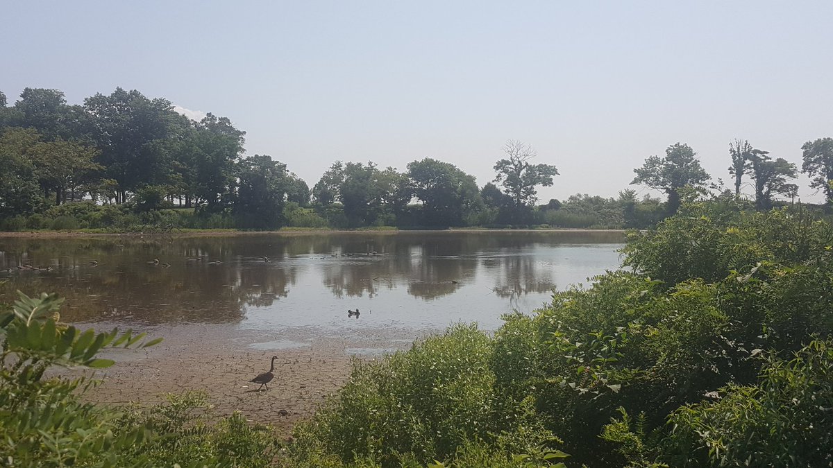MikeWReilly's tweet photo. Nice walk around the Prince's Bay area earlier today. Enjoyed the awesome views and trails through Wolf's Pond Park and the surrounding area. #VisitAPark #AroundThe62ndAD #SouthShore #StatenIsland https://t.co/GqABuxW8Tg