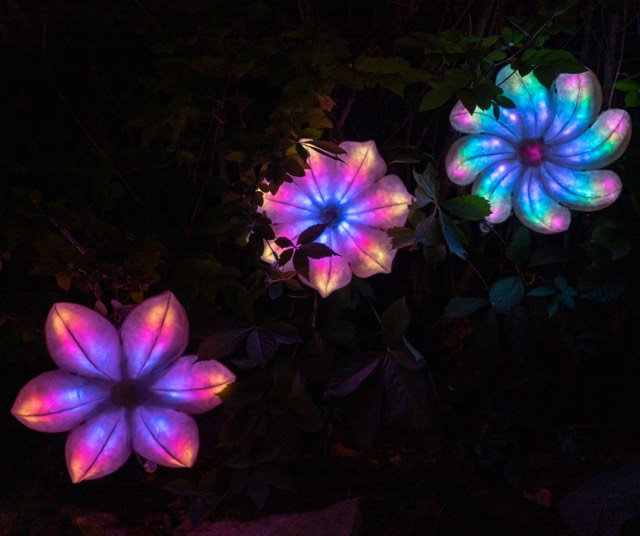 FIGMENTBoston's tweet photo. FIGMENT 2019 ARTIST SPOTLIGHT: Forest Garden by Bethany Walker 

Get lost in this magical flower garden with synchronized music and lighting at Figment this weekend on the Rose Kennedy Greenway! https://t.co/p16UBvi5a1
