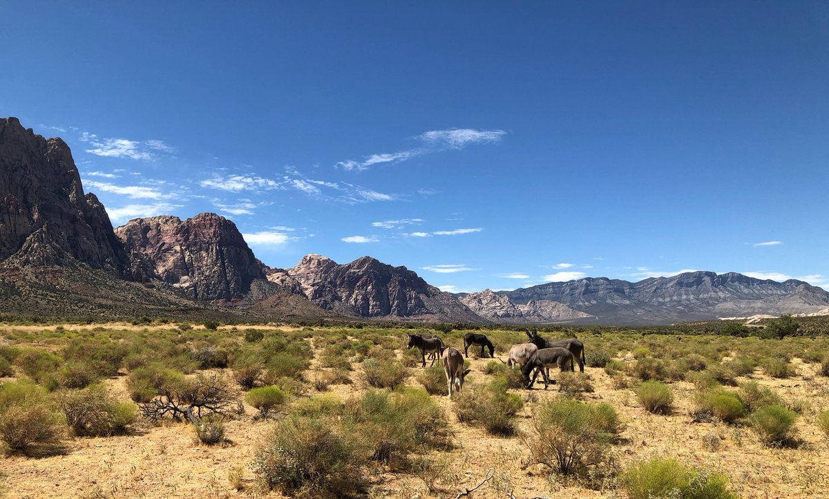 outsidedrones tweet picture