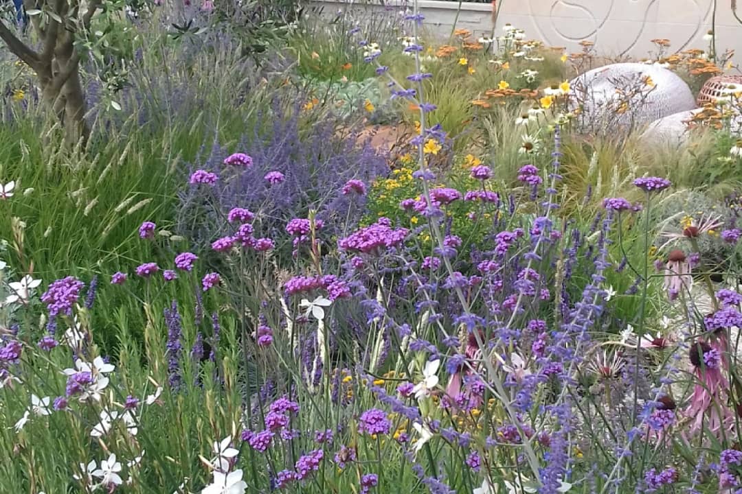 hilltopkat's tweet photo. Just finished gathering all our photos from the RHS Tatton Park Flower Show! It was amazing! These are a few of our favourites! 😊 #rhs #tattonpark #flowers #flowershow #outdoorlife #simplethings #justbe 
https://t.co/BOvBQ1RqJC https://t.co/x0cbegvVQ5