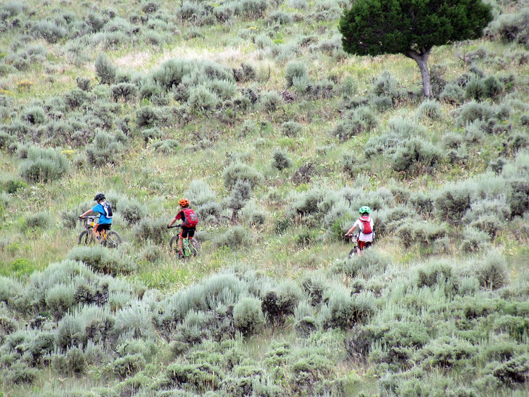 JeffKerkove's tweet photo. Aaaaaaaand just like that the July session of #VVASAkids MTB Camp is over π₯Ί No worries though, we do it all over again in August for 2 weekππ»π₯³ππ»
#morekidsonbikes #vvasacolorado #guforit #eagleoutside https://t.co/xtpT6b1mEP