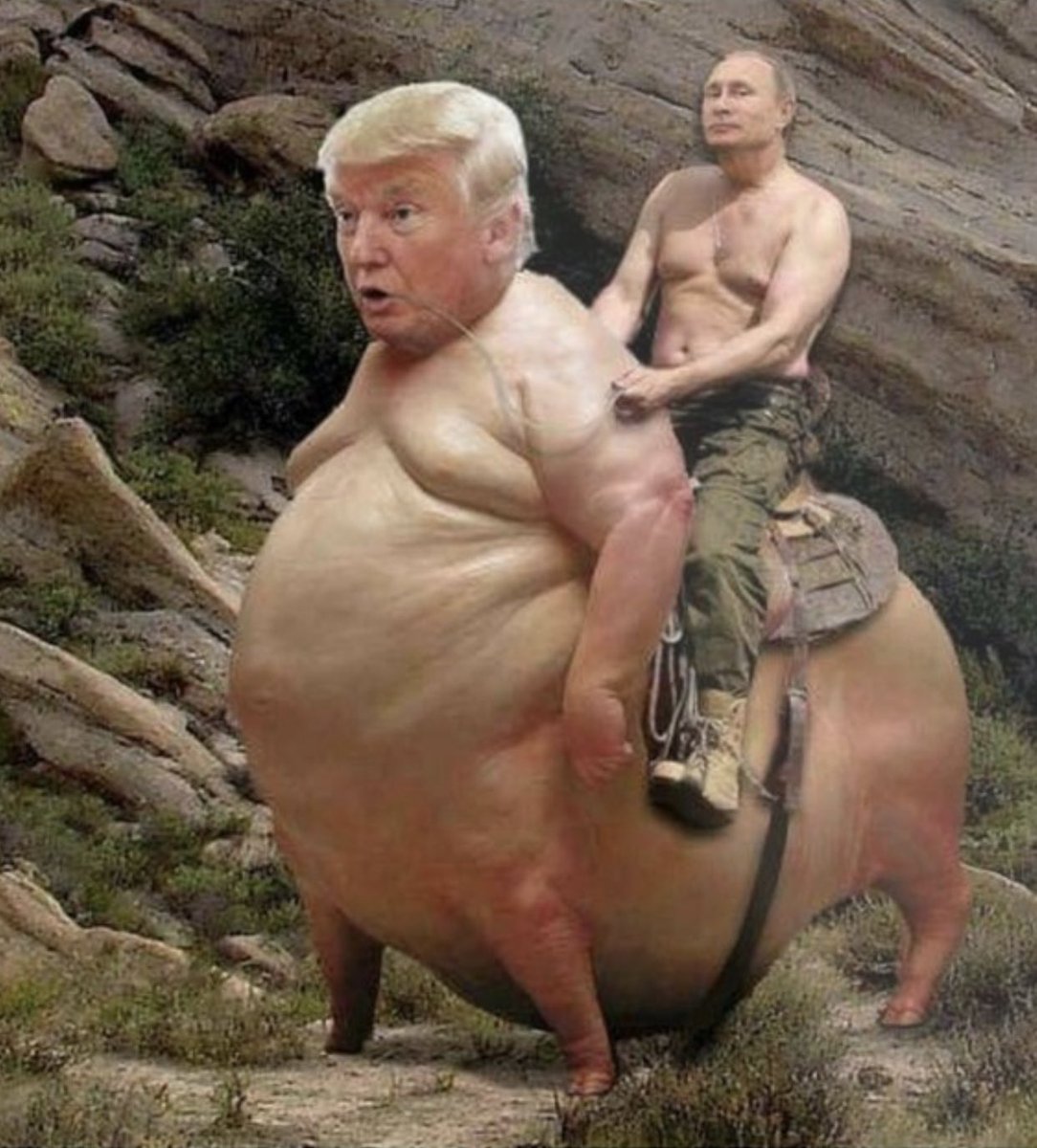 whytedymonds's tweet photo. Now this๐๐ฝis the wrk of a true genius. Salutationsโผ๏ธ๐๐ฝ
A faux president standing under a fake seal.
Punk ass bitch.
#Putinsbiatch
#45IsAPuppet https://t.co/64tx0z1eSS