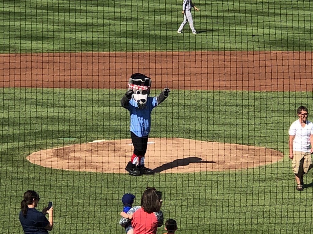 profan9's tweet photo. It’s a beautiful day for a ballgame! @StadiumJourney is at #UPMC #Park for the #Erie #SeaWolves and #Trenton #Thunder. ⚾️
#SeaWolves25 #RoadtoDetroit #MiLB https://t.co/OvKc79GAI0