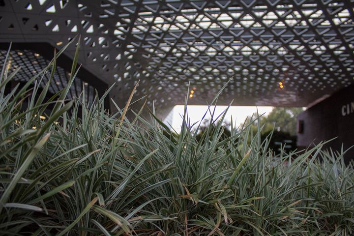 Matiné infantil, exposiciones, estrenos y clásicos en pantalla grande este fin de semana en <a href="/CinetecaMexico/">Cineteca Nacional</a> ¡Visítanos! 
Programación disponible en cinetecanacional.net
Fotografía por Ilse Álvarez.