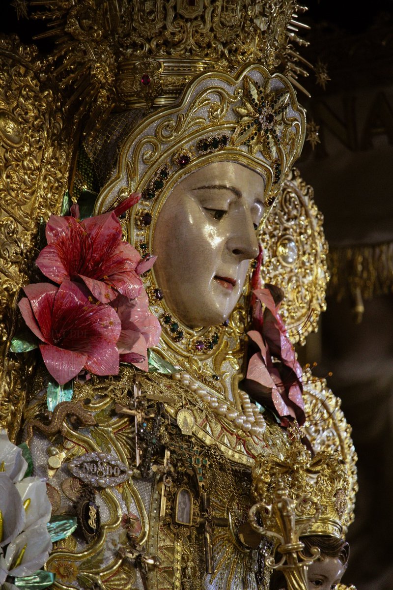 riverpegrafia's tweet photo. Blanca Paloma Almonteña 🕊️

@hdadmatrizrocio

 #rociodealmonte #virgendelrocio #blancapaloma #reinadelasmarismas #flordelasflores #madredelasmadres #virgendelasvirgenes https://t.co/bgDHqGanmT