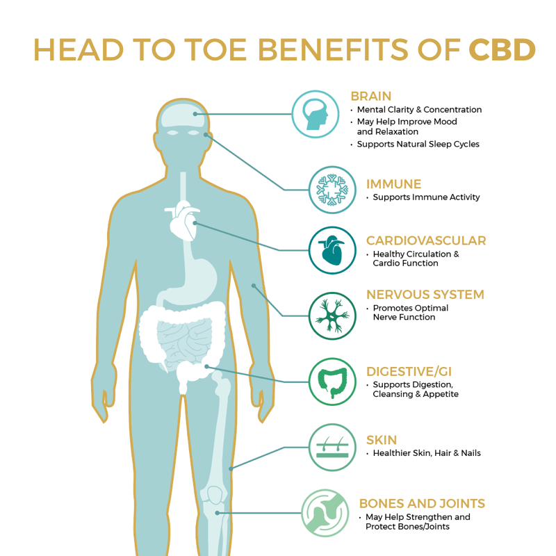 Corye221's tweet photo. From head to toe, CBD is the answer! There are so many misconceptions that many people have about it. If you haven't tried it, trust me- you need to!
.
.
#cbdoil #healthyliving
.
. https://t.co/ek1oUqcd1s