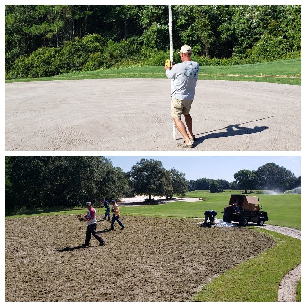 Grades set, sprigs down