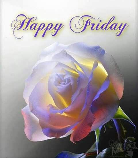 ranigill7's tweet photo. # WELCOME RUBY #GOOD EVENING  ,HOPE ALL FINE BEAUTIES 🌹💞😊  ,
CHEERS GM  NIKKI  SONI -MONI KURI.  LOVELY FLOWERS  4 U   GET WELL SOON DEAR
@Pinkysmile24 
@RubyKha09925269      
    HAVE A SUPERB DAY AHEAD . #GOODMORNING SONI #HOPE ALL FINE   #HI LOVELY RUBY NICE TO C U
💞💞💞💞 https://t.co/A5sQADGl2h