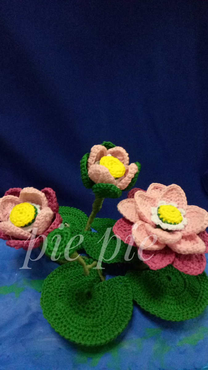 Alhamdulillah, bunga teratai rajutku sudah bermekaran 😍

#pekerjaantanganku 
#belajarmerajut 
#bungateratai
#bungateratairajut 
#bungaterataipink 
#haskar 
#haskarrajut