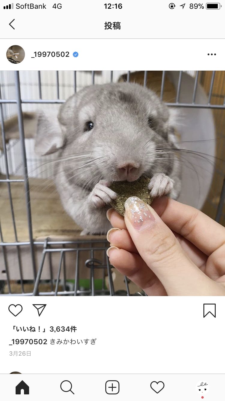 にどみ にどみ あいにょんこと大塚愛里さんというギャルが大好きなんですけど ギャルなのに Iphoneではなくandroid使ってたりいらすとや愛がヤバくてケースもだけでは飽き足らずネイルもその柄にしてみたり動物たくさん飼ってたり動物園大好きだっ