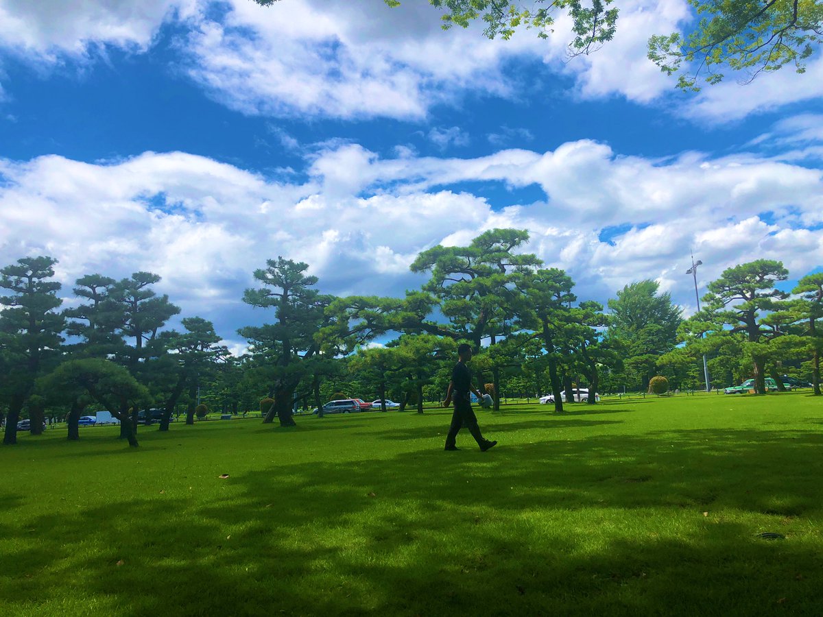takaPython1's tweet image. お昼休みはきちんと休むべき。
大手町、近くに緑があるのはいいですね。