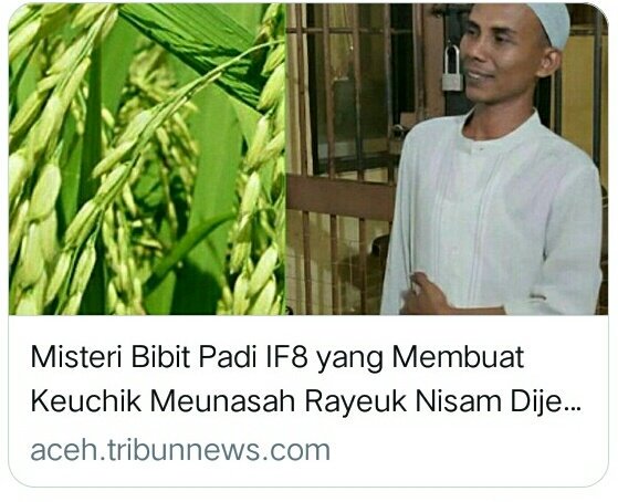 #SafeKadesInovatif harus diperjuangkan utk bebas <a href="/jokowi/">Joko Widodo</a> <a href="/EkoSandjojo/">Eko P. Sandjojo</a> <a href="/anwsanusi/">Anwar Sanusi</a> <a href="/taufikmadjid71/">IG : taufik.madjid</a> @fachrilabalado <a href="/NursaidM/">Nursaid Mustafa</a>
