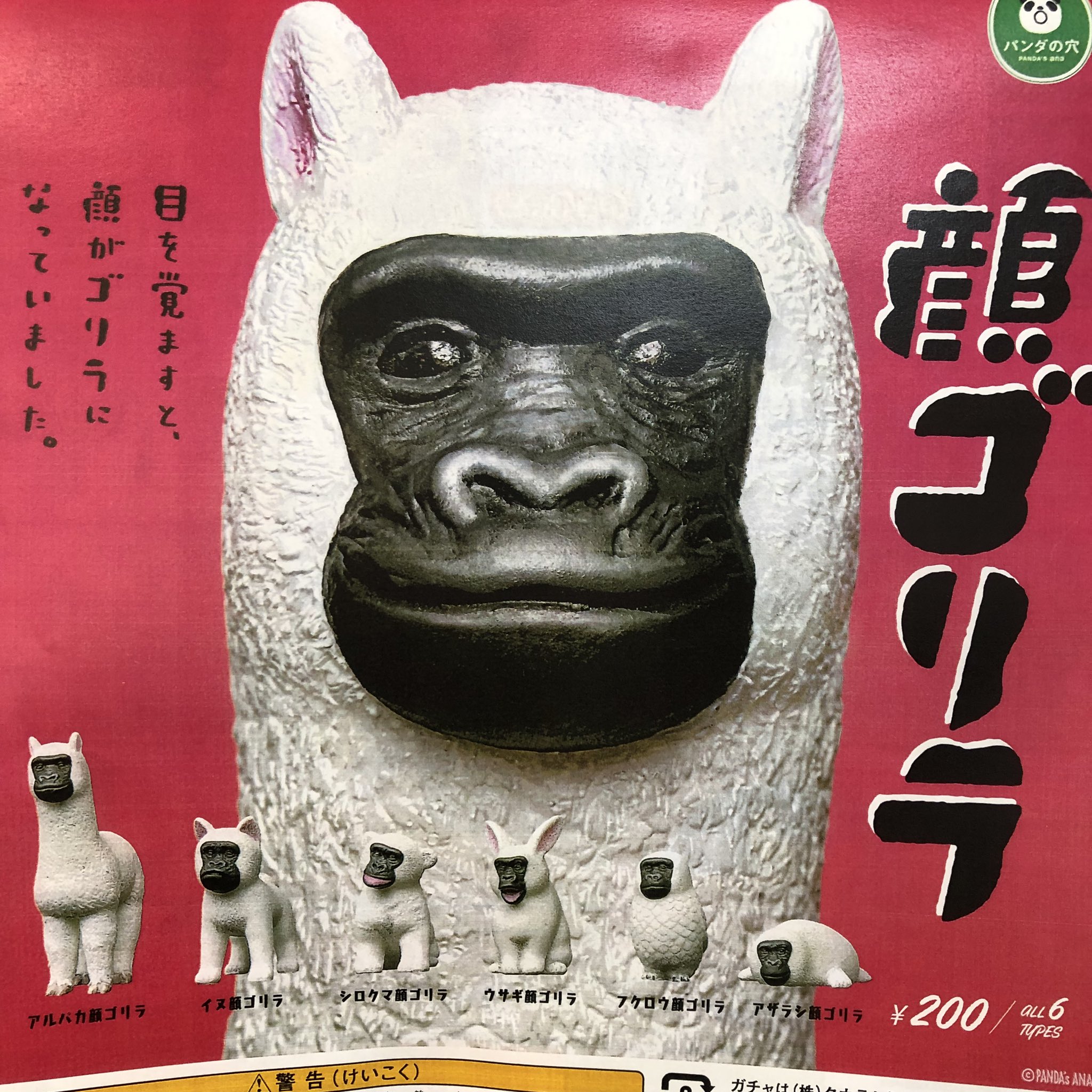 ゴリラの春7 1975] Keitaro Miho – The Gorilla Seven Music File [Full