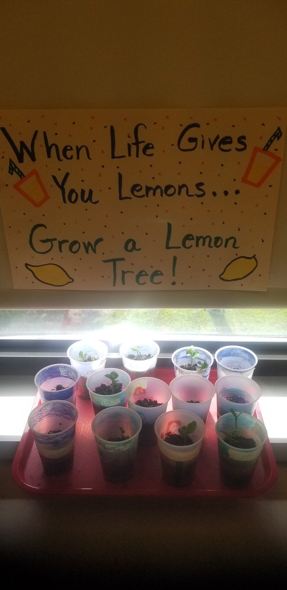TeaneckWhittier's tweet photo. 🍋 Whittier’s Rising 3rd graders are learning about economics and how to start their very own lemonade stand business. 🍋 https://t.co/eeKpZjnvPg