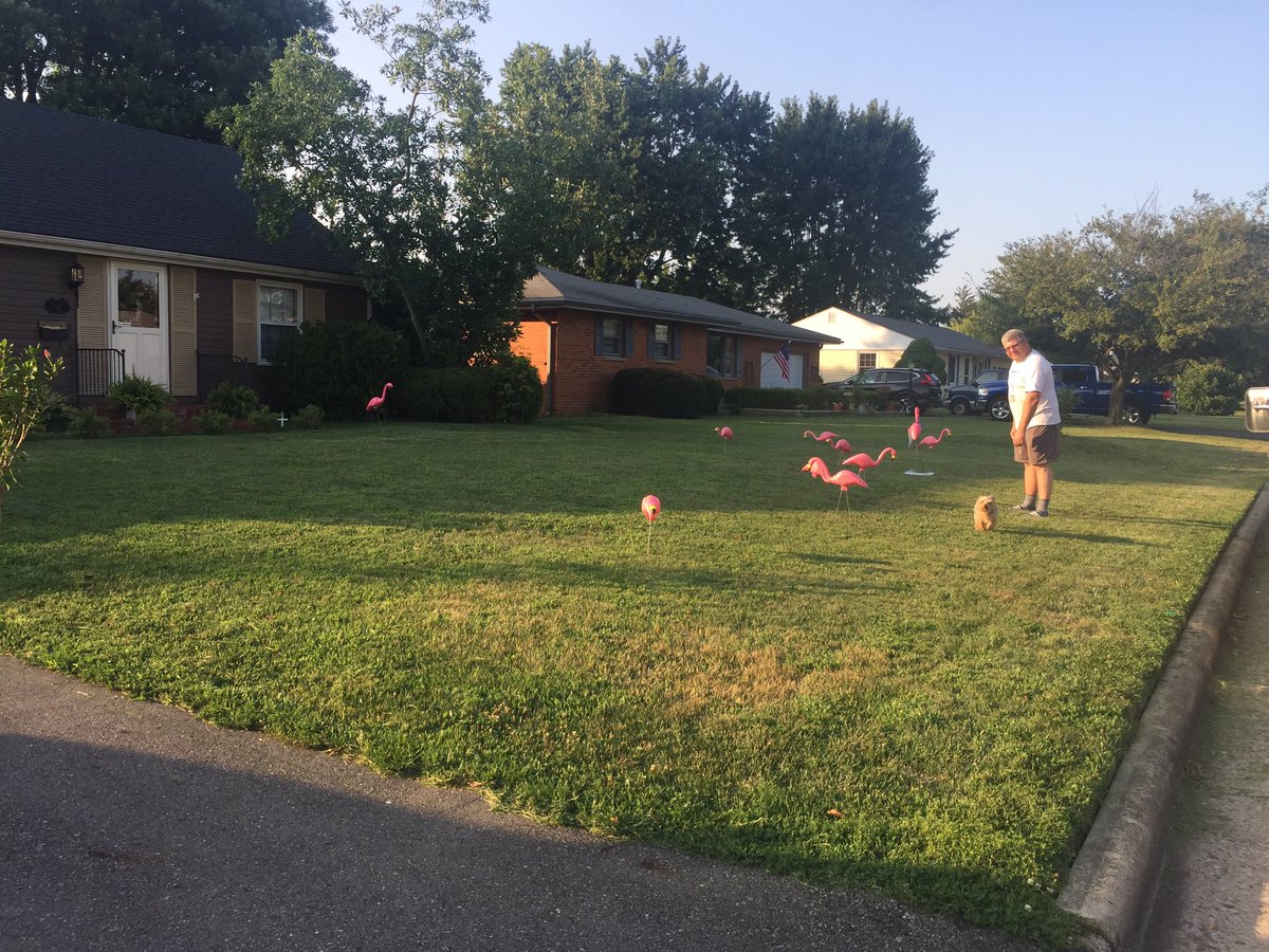 MamaAndi44's tweet photo. @WCHCS Thank you so much WCH Blue Lions football for “flocking” us and allowing this veterans home to show its patriotic side! #wchcs #bluelionsfootball #veteranshome https://t.co/KH30zbcoa5