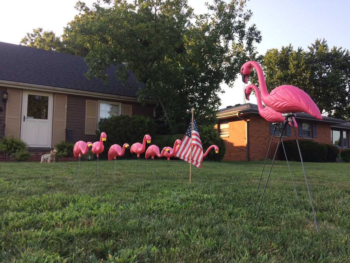 MamaAndi44's tweet photo. @WCHCS Thank you so much WCH Blue Lions football for “flocking” us and allowing this veterans home to show its patriotic side! #wchcs #bluelionsfootball #veteranshome https://t.co/KH30zbcoa5