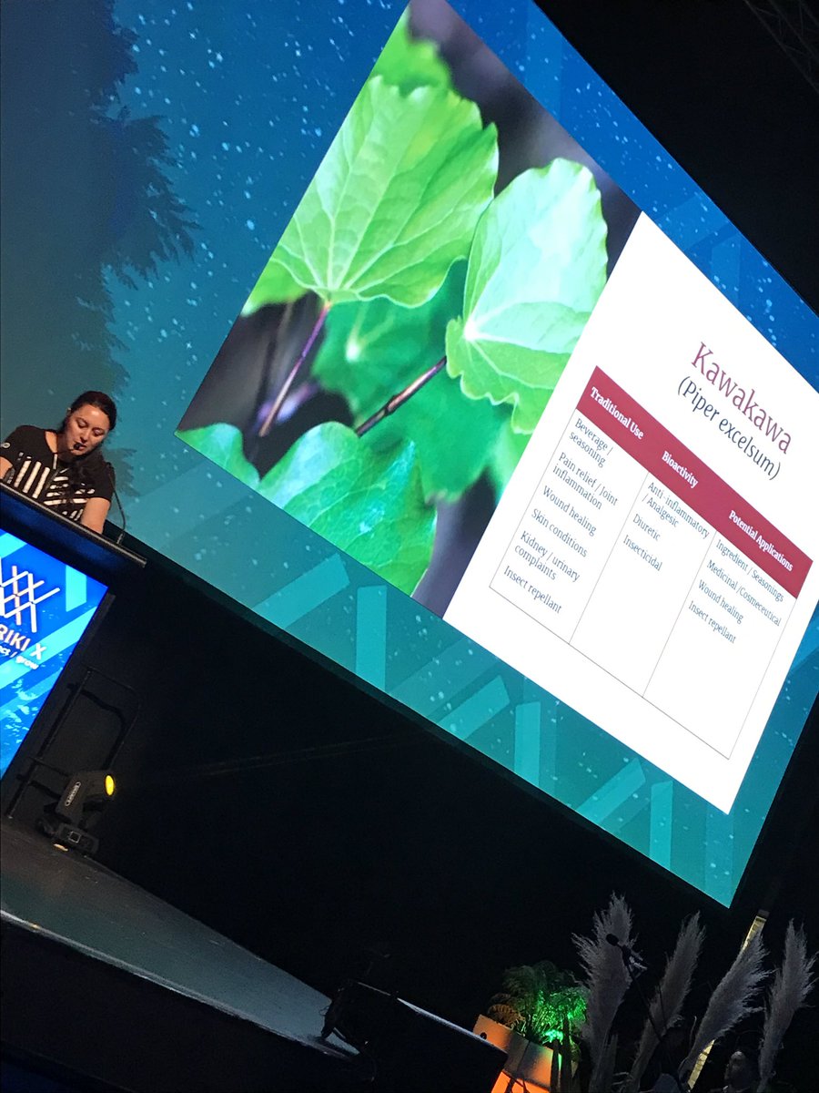 Kawakawa, traditional rōngoa, look at the range of uses #MatarikiX19 <a href="/MirianaStephens/">Miriana Stephens</a>