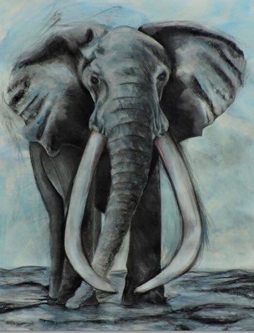 elephantsdc's tweet photo. Let us do all we can to save these species⚡️NO valid reason exists to justify perpetual #legal commercial trade in #endangered #mammals for #greed’s sake 🕊#HumanDecency #ChildrenLearn #EisforElephant NOT #EXTINCTION #BanIvorySales 🇺🇸💯🐘
#elephants #pangolins @CITES @WhiteHouse https://t.co/IDkwWgrsJ3