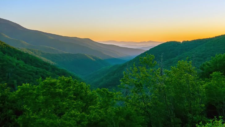 journoian's tweet image. Built for @NetSuite - @BlueRidgeGlobal celebrates Blue ridge Planning certification bit.ly/2GmoteL #SuiteApp #SupplyChain #Forecasting #Retail